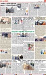 Page 5-page-001