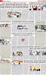 Page 10 pehredar-page-001